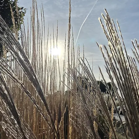 Neu Apartmenthaus-usedom Famstopp Kajuete 7 - Balkon - Strandnah Kölpinsee